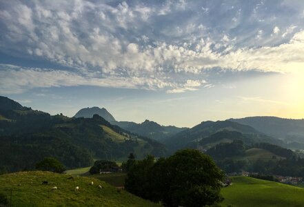 Animal clouds countryside photo