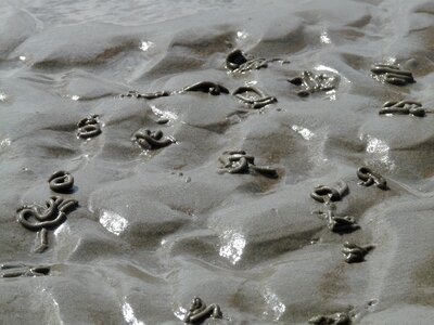 Schlick sand water