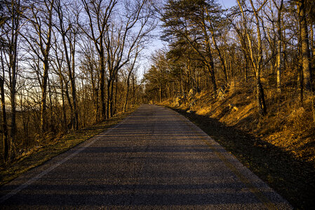 Road up the mountain at Cheaha State Park photo