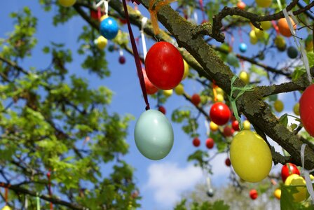 Egg color colorful