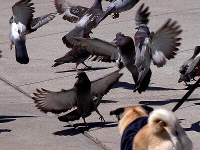 Taking Off  