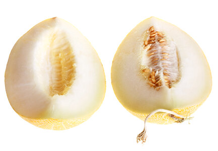 melon