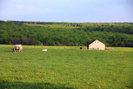 Teutoburg forest house meadow