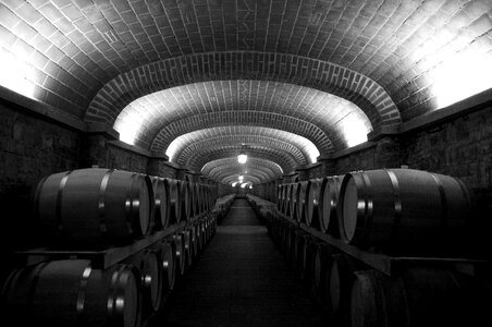 Cellar wine black and white photo
