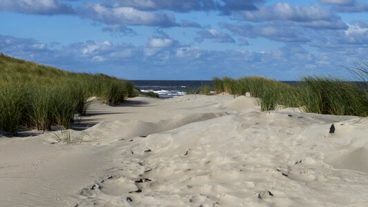 Beach coast coastline