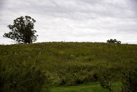 Hill, grass, and landscape under cloudy sky photo