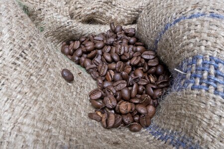 Brown coffee beans grains