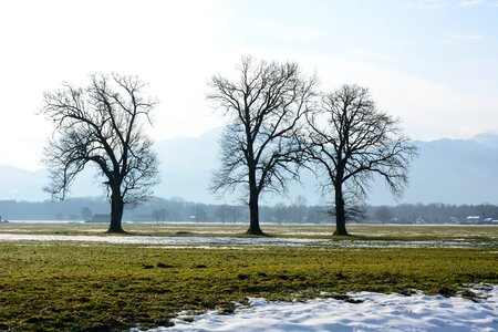 Aesthetic silhouette nature mood photo