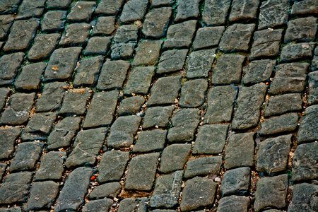 Brick Road Texture photo
