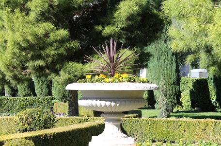 Shrubs floral hedge