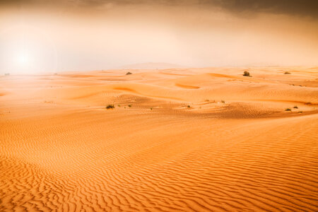 Desert dunes of Emirates photo