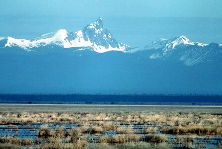 Area marsh 
