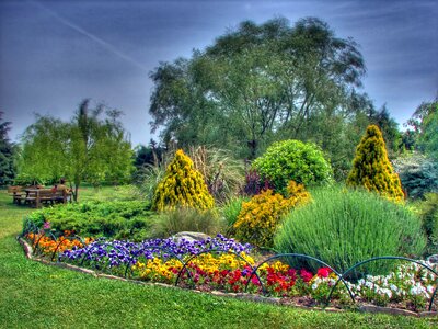 Flowers plants trees