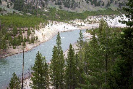 Mount Washburn Trail, Yellowstone National Park