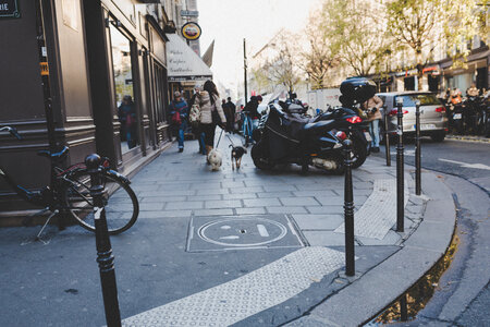 Street Scene with Pedestrians and Dogs photo
