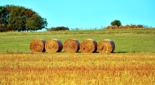 Harvest landscape sky photo