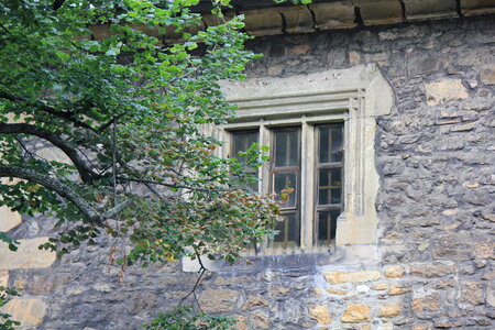 Historical window in stonehouse behind a tree