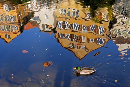 Mirroring facade mirror distortion photo