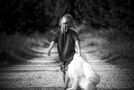 Road nature teddy photo