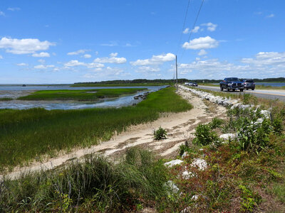 Oysters castles at low tide-2