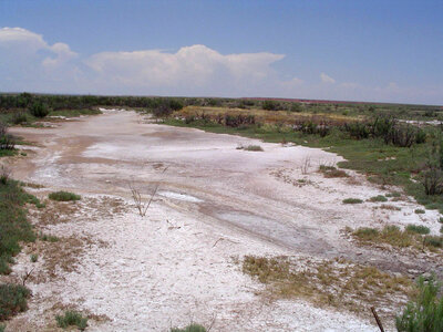 Dry creek at Bitter Lake National Wildlife Refuge photo