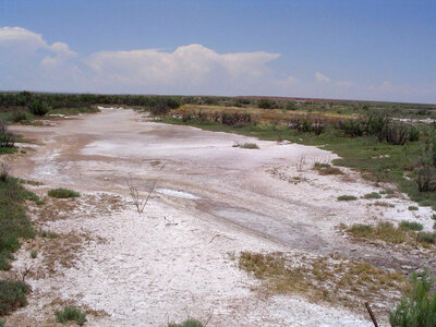 Dry creek at Bitter Lake National Wildlife Refuge