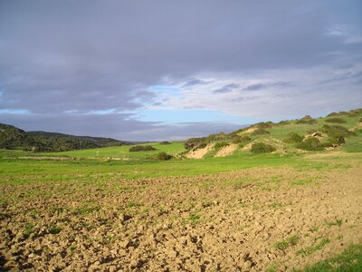 Landscape meadow hill photo