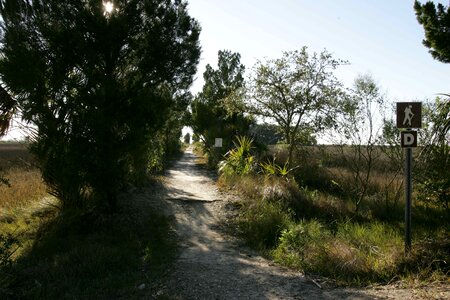 Domestic nature refuge photo