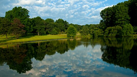 Scene natural landscape