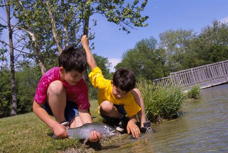 Boys fang fish photo