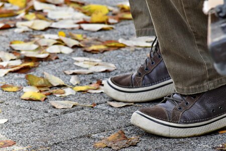 Autumn Season brown footwear photo