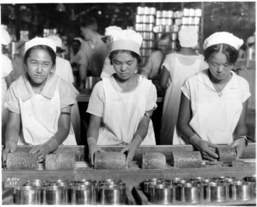 Young women packing pineapples in Hawaii photo