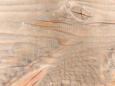 Hardwood knot texture photo