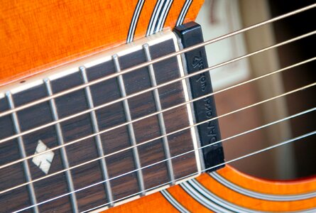 Aquatic close guitar