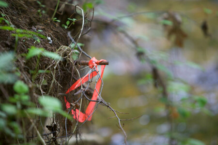 Flagging during river and stream assessment-1