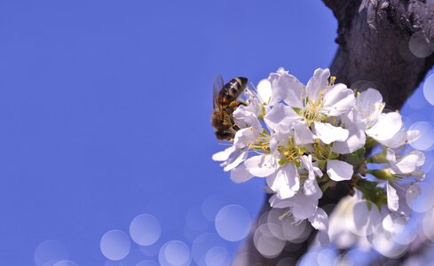Sky nature macro