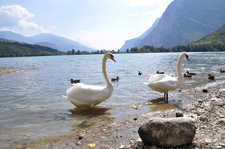 Nature riva spring
