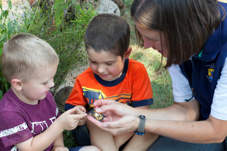 Biologist teaches children about the Monarch butterfly-1