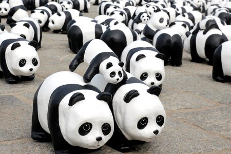 Funny panda toys photo