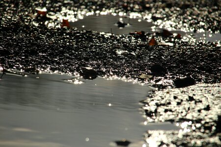 Stones mirroring puddle