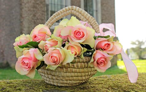 Basket beautiful flowers beautiful photo