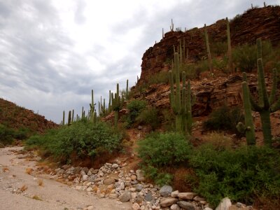 Desert Mountain Landscape in Tucson Arizona