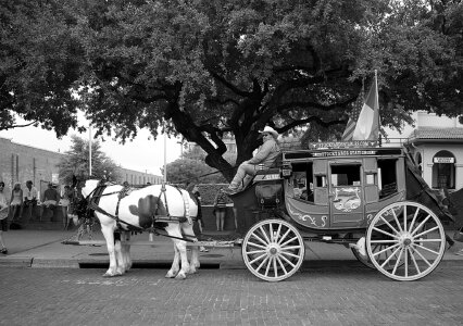 Cowboys tourists driver