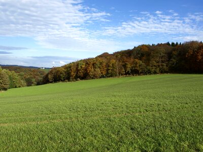 Agriculture blue sky cloud