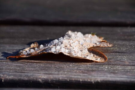 Autumn autumn season crystal