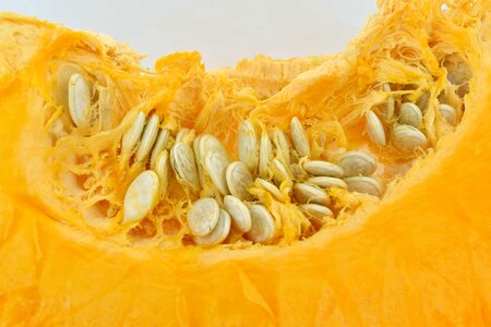 Close-Up orange yellow pumpkin