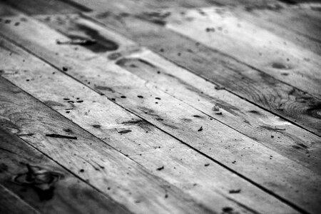 Wood black and white texture photo