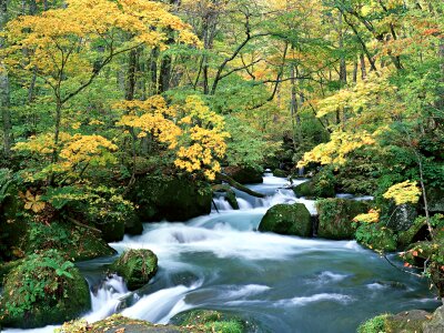 Autumn landscape. River into canyon. photo