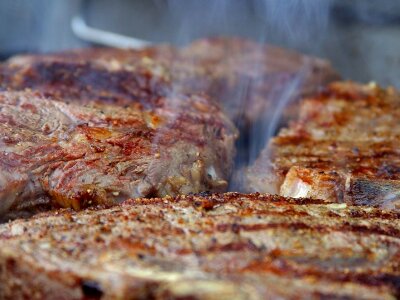Steam smoke grill