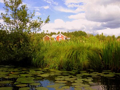 Water house idyll